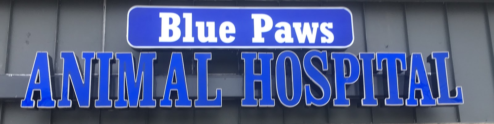 Blue Paws Animal Hospital — photo