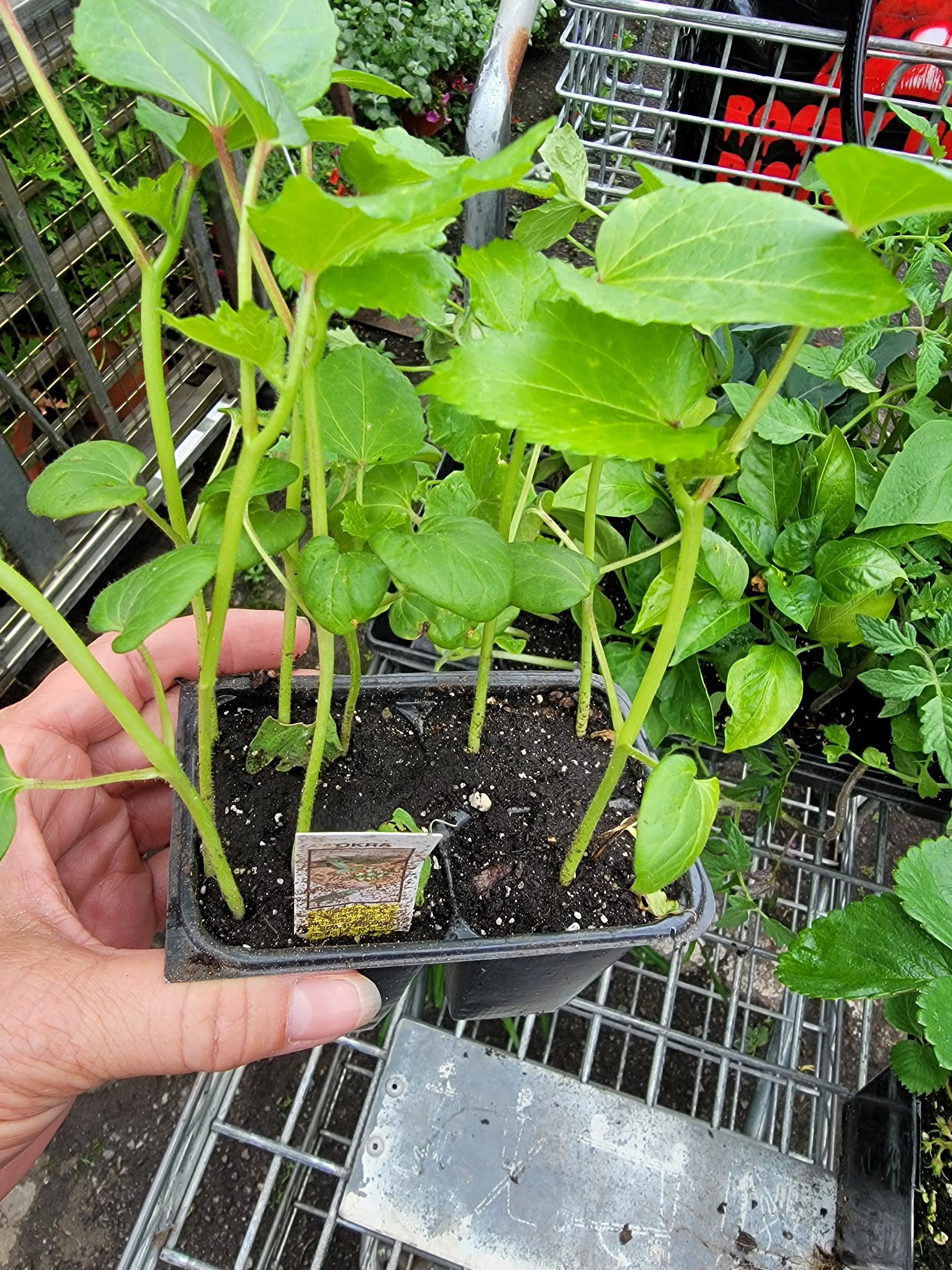 Bob's Gift & Garden Center in Southgate