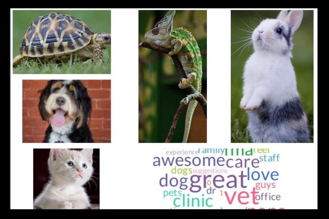 Southgate Animal Hospital — photo