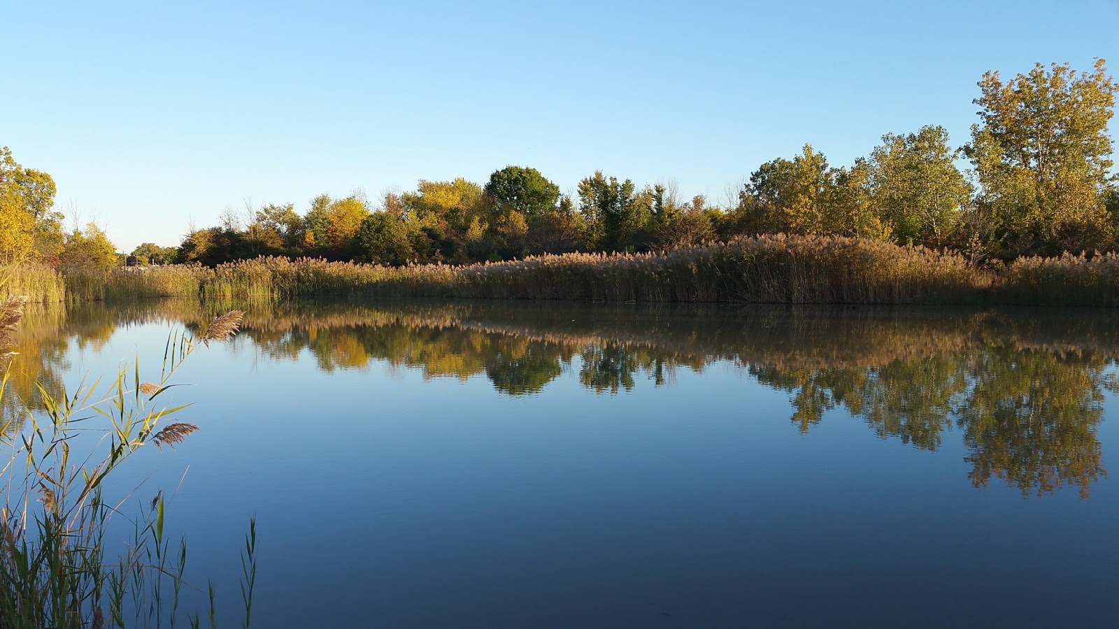 Southgate Nature Center — photo
